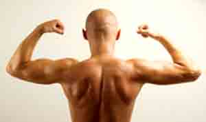 healthy muscles and a healthy spine